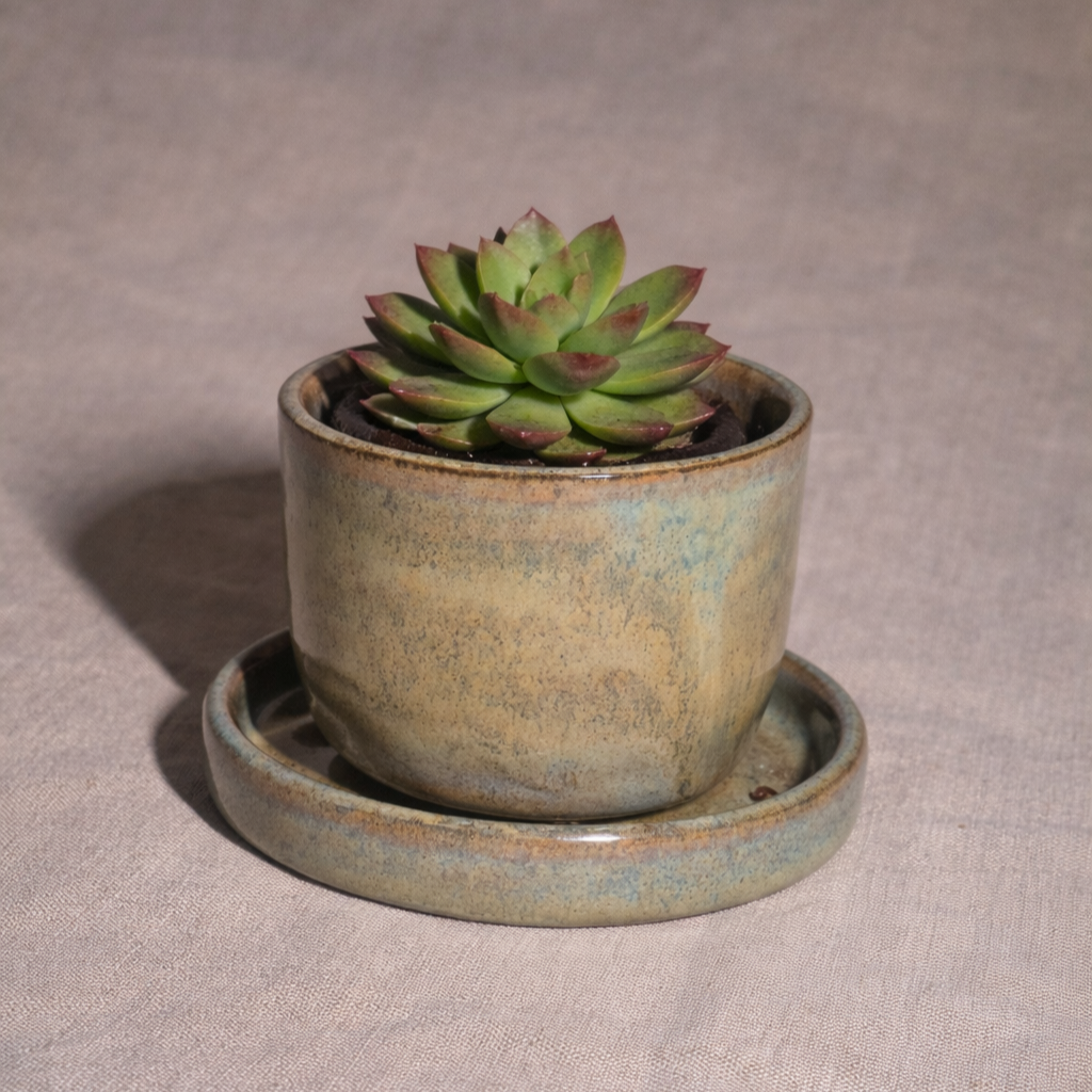 Small Indoor Planter in Toasted Sage