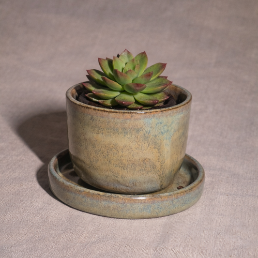 Small Indoor Planter in Toasted Sage