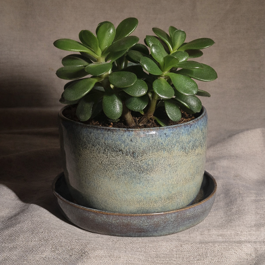 Large Planter with Matching Dish in Toasted Sage
