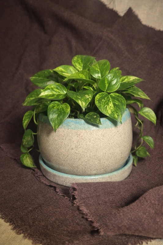 Medium planter in Granite with Mint Green Interior
