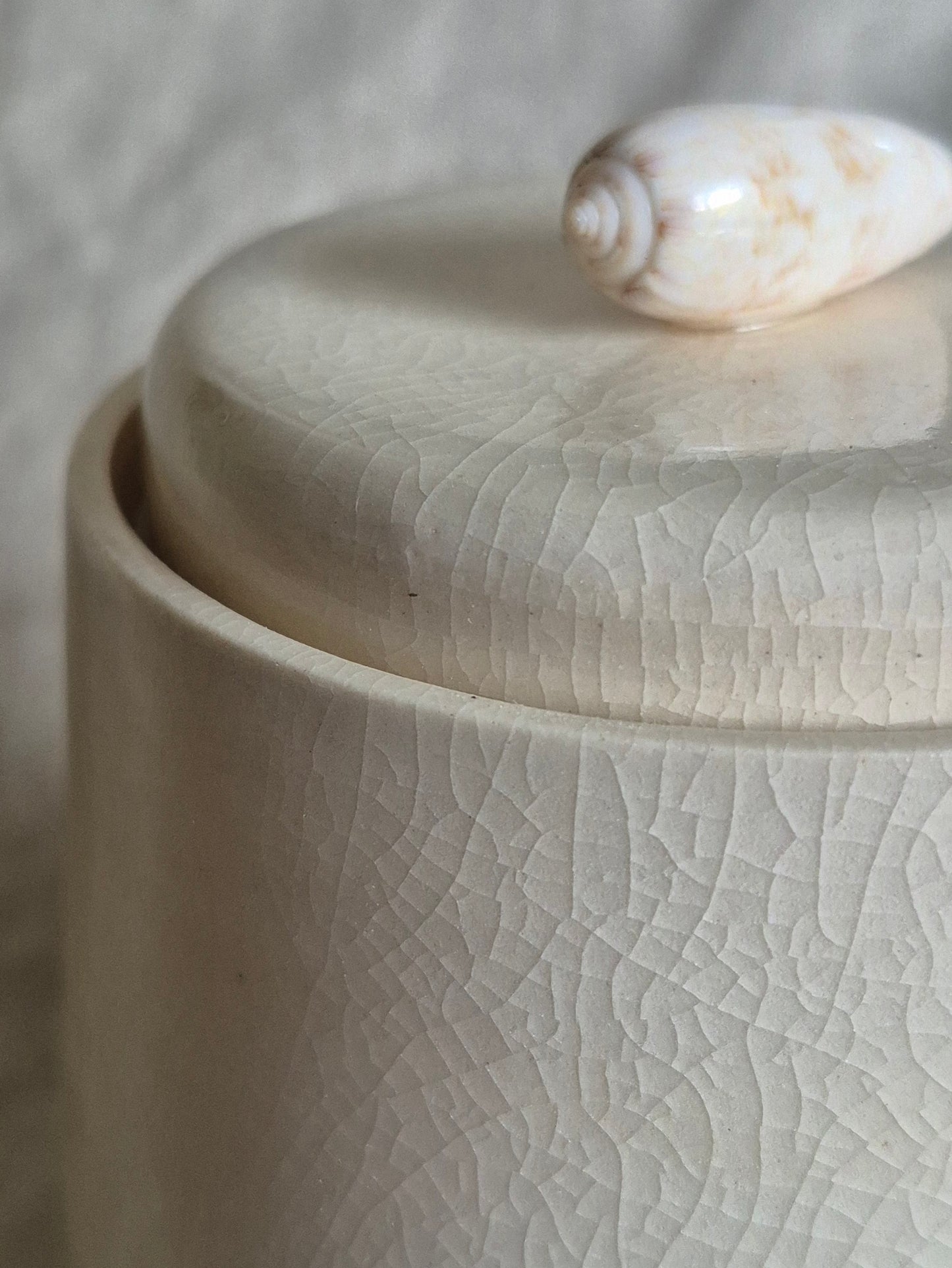 Medium Jar in Clear Crackle with Seashell Knob