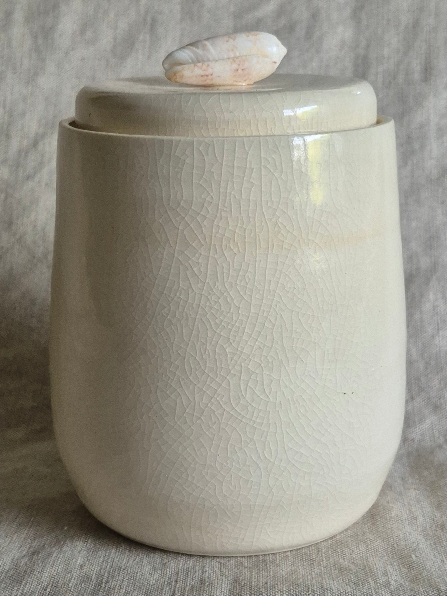 Medium Jar in Clear Crackle with Seashell Knob