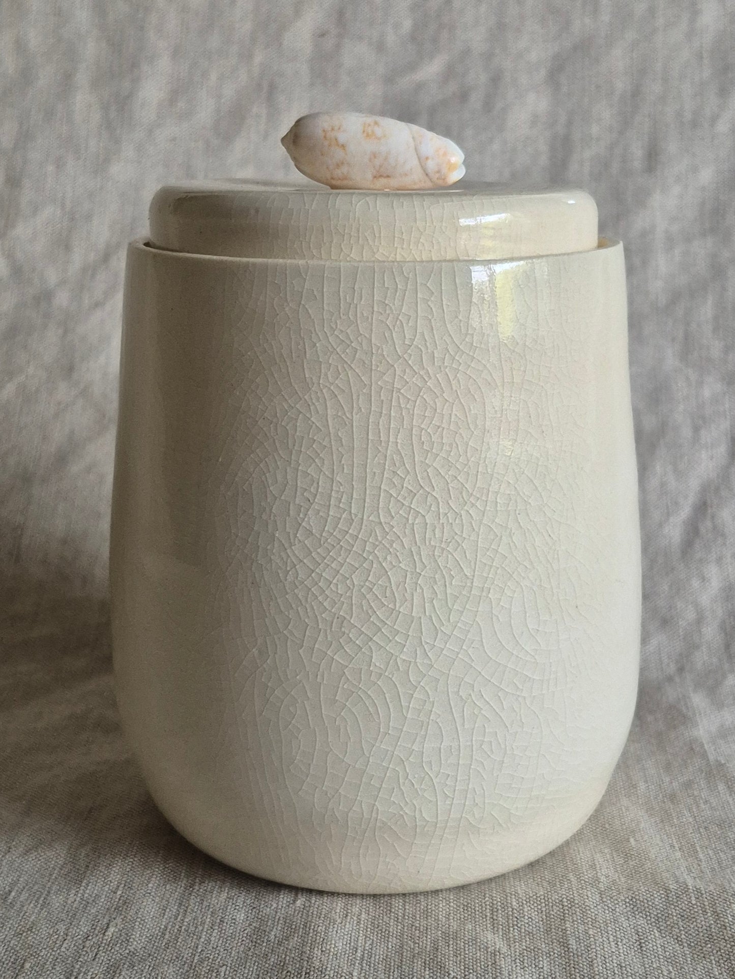 Medium Jar in Clear Crackle with Seashell Knob
