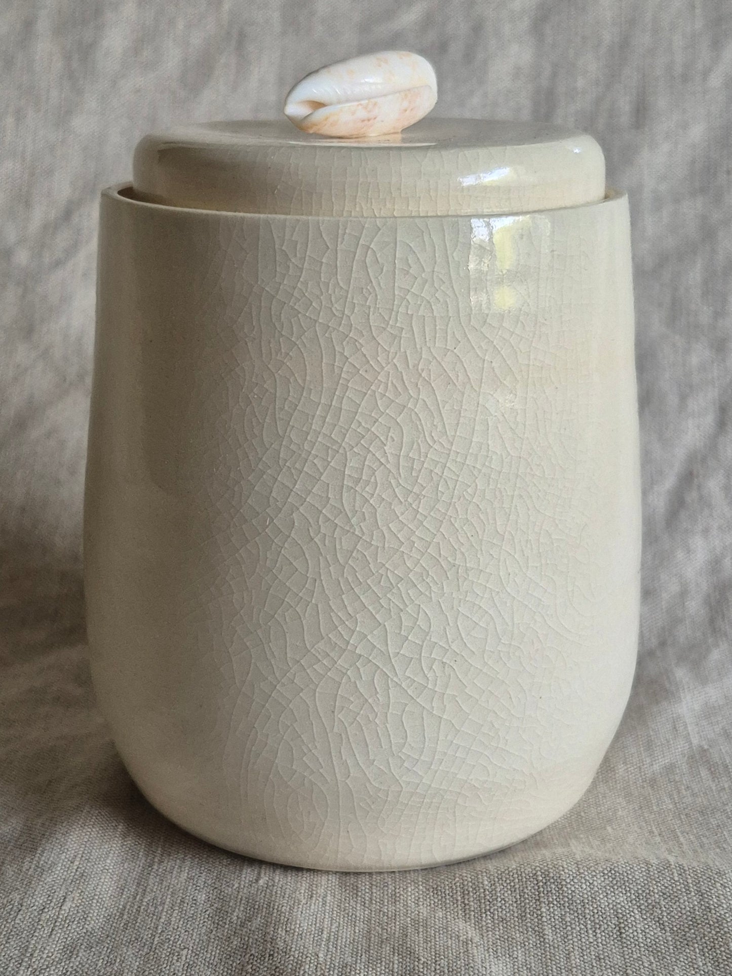 Medium Jar in Clear Crackle with Seashell Knob