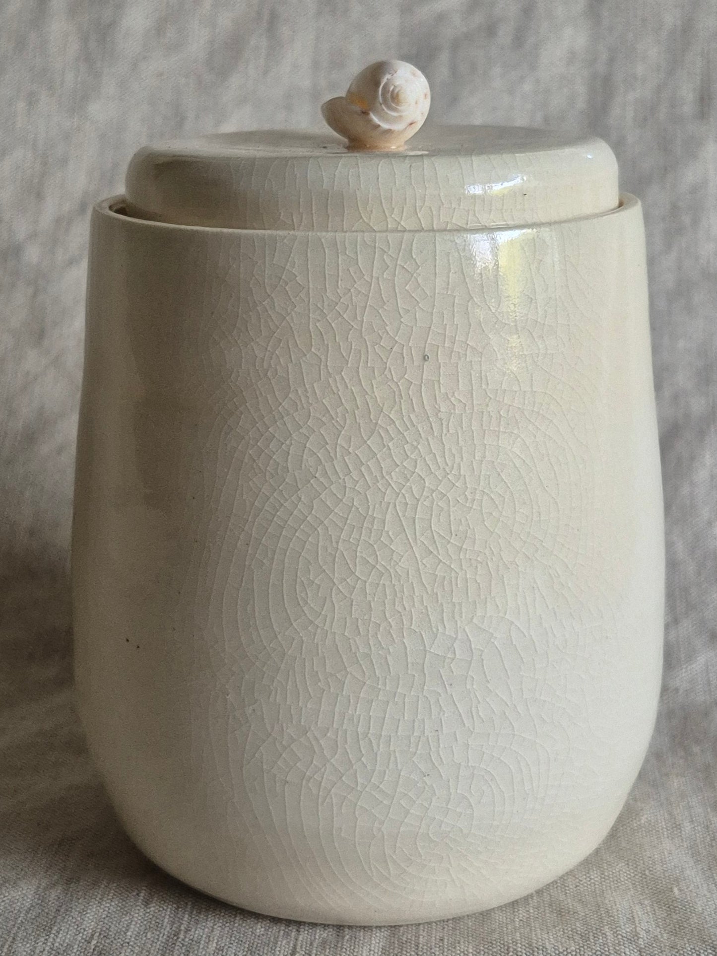Medium Jar in Clear Crackle with Seashell Knob